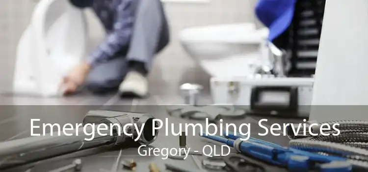 Emergency Plumbing Services Gregory - QLD