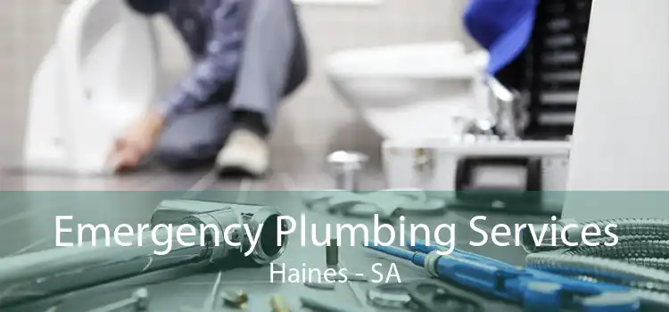 Emergency Plumbing Services Haines - SA