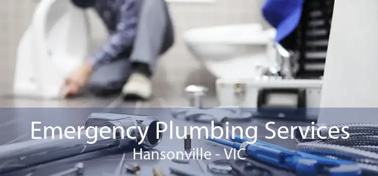 Emergency Plumbing Services Hansonville - VIC