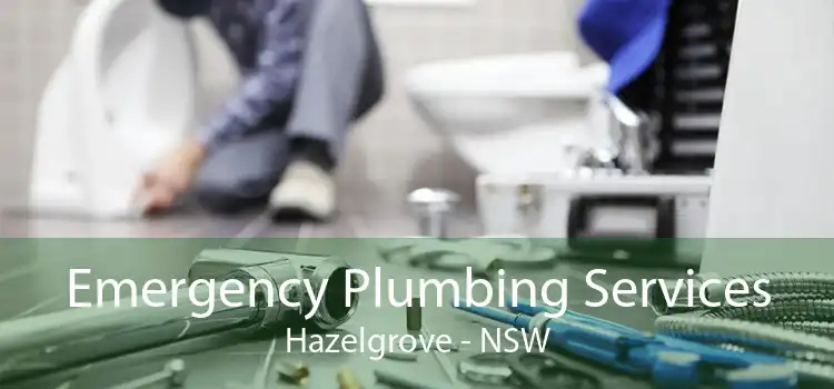 Emergency Plumbing Services Hazelgrove - NSW