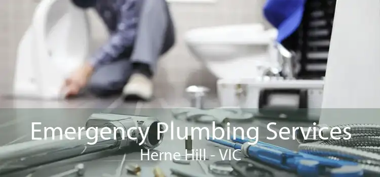 Emergency Plumbing Services Herne Hill - VIC
