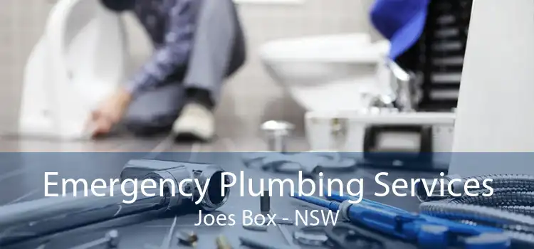 Emergency Plumbing Services Joes Box - NSW