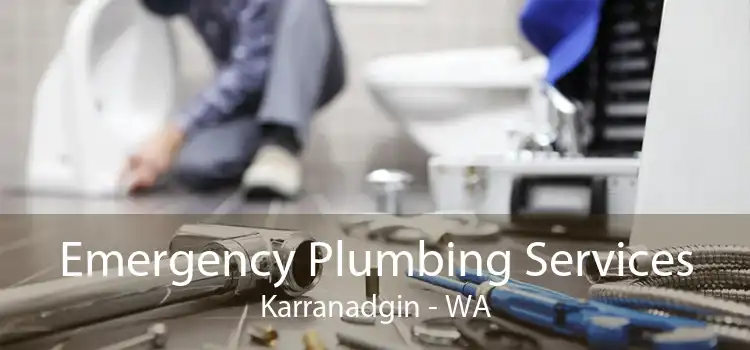 Emergency Plumbing Services Karranadgin - WA
