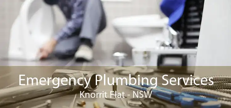 Emergency Plumbing Services Knorrit Flat - NSW