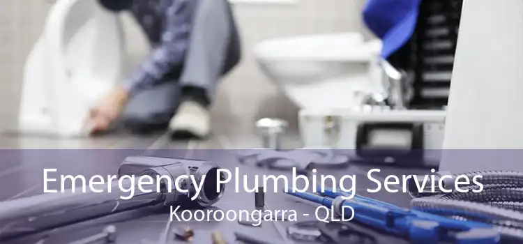 Emergency Plumbing Services Kooroongarra - QLD