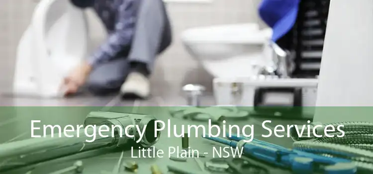 Emergency Plumbing Services Little Plain - NSW