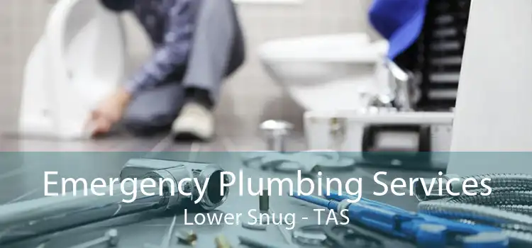 Emergency Plumbing Services Lower Snug - TAS