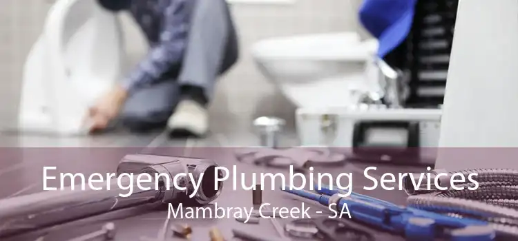 Emergency Plumbing Services Mambray Creek - SA