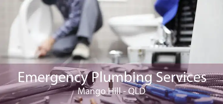 Emergency Plumbing Services Mango Hill - QLD
