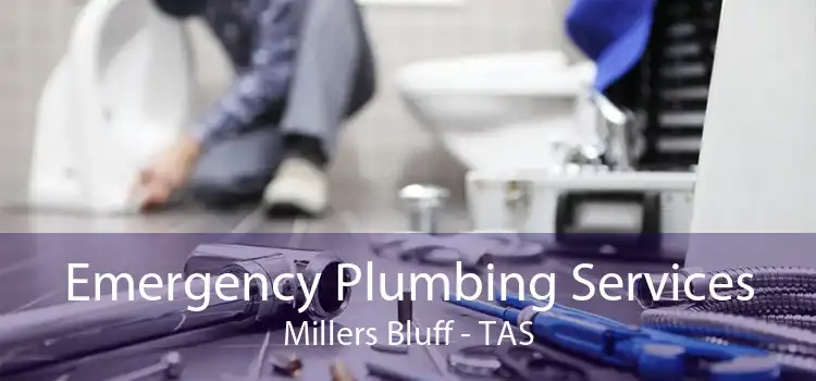 Emergency Plumbing Services Millers Bluff - TAS