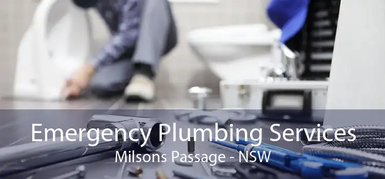Emergency Plumbing Services Milsons Passage - NSW