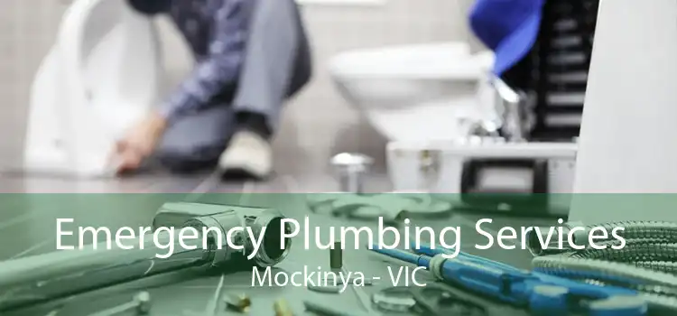 Emergency Plumbing Services Mockinya - VIC