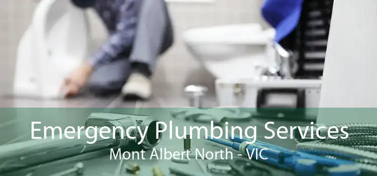 Emergency Plumbing Services Mont Albert North - VIC