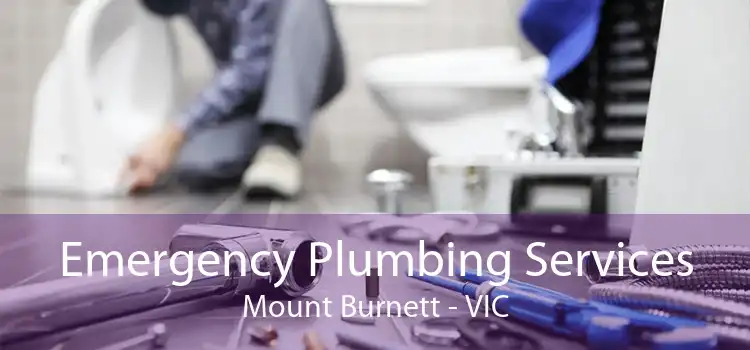 Emergency Plumbing Services Mount Burnett - VIC