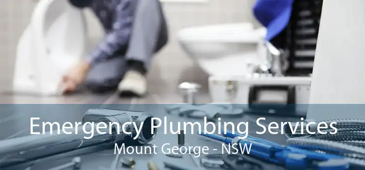 Emergency Plumbing Services Mount George - NSW