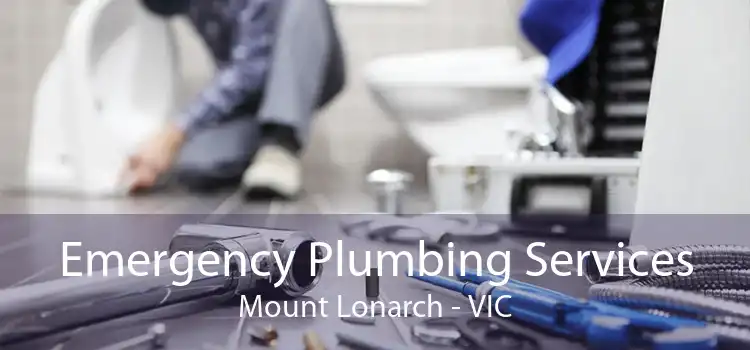 Emergency Plumbing Services Mount Lonarch - VIC