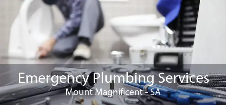 Emergency Plumbing Services Mount Magnificent - SA