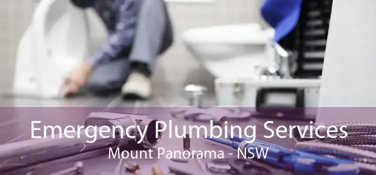 Emergency Plumbing Services Mount Panorama - NSW