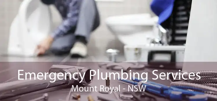 Emergency Plumbing Services Mount Royal - NSW