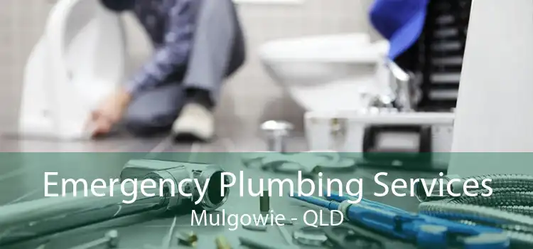 Emergency Plumbing Services Mulgowie - QLD