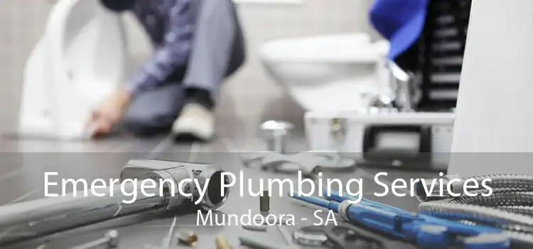 Emergency Plumbing Services Mundoora - SA