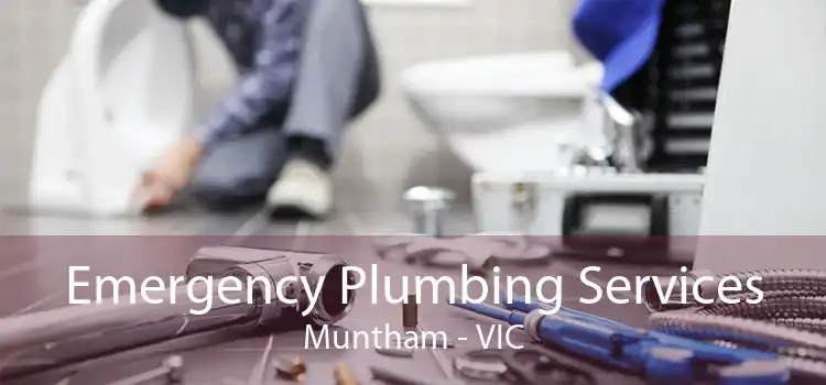 Emergency Plumbing Services Muntham - VIC