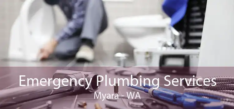 Emergency Plumbing Services Myara - WA