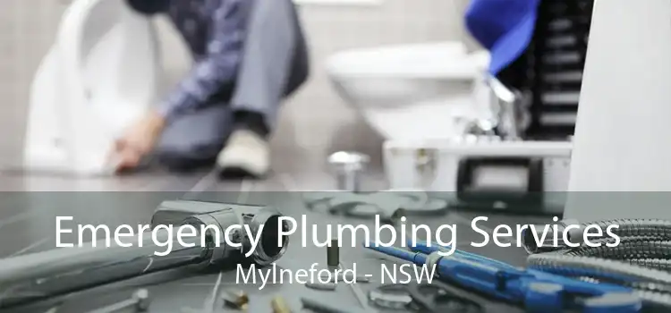 Emergency Plumbing Services Mylneford - NSW