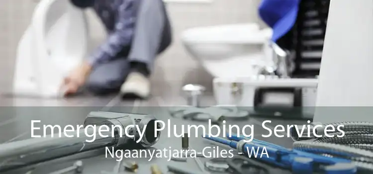 Emergency Plumbing Services Ngaanyatjarra-Giles - WA
