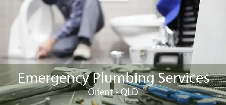 Emergency Plumbing Services Orient - QLD