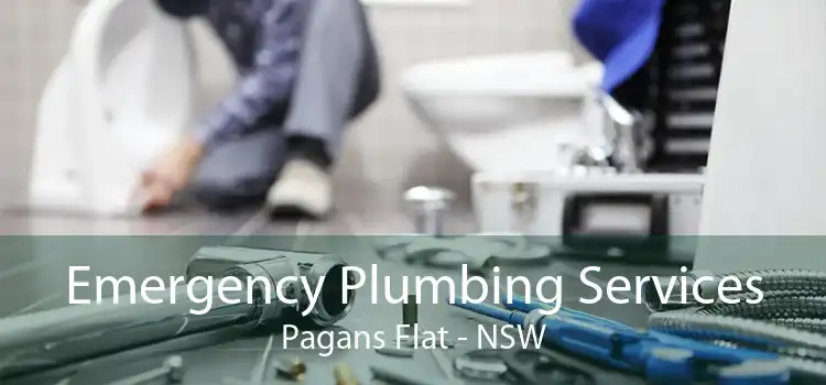 Emergency Plumbing Services Pagans Flat - NSW