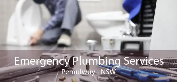 Emergency Plumbing Services Pemulwuy - NSW