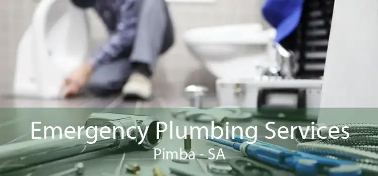 Emergency Plumbing Services Pimba - SA