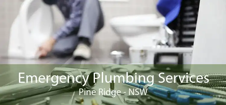 Emergency Plumbing Services Pine Ridge - NSW