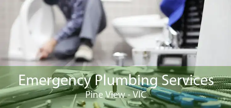 Emergency Plumbing Services Pine View - VIC
