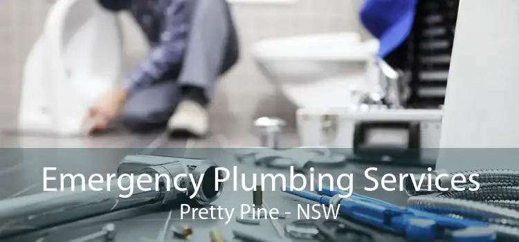 Emergency Plumbing Services Pretty Pine - NSW