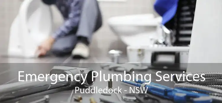 Emergency Plumbing Services Puddledock - NSW