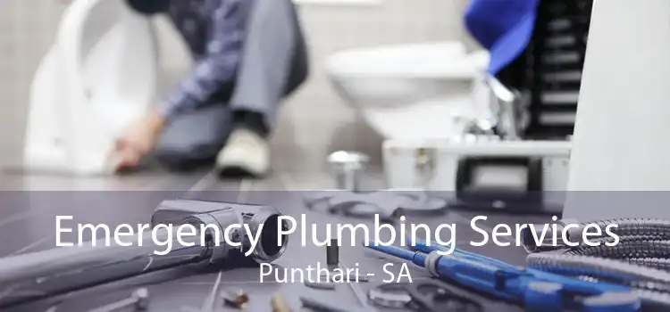 Emergency Plumbing Services Punthari - SA