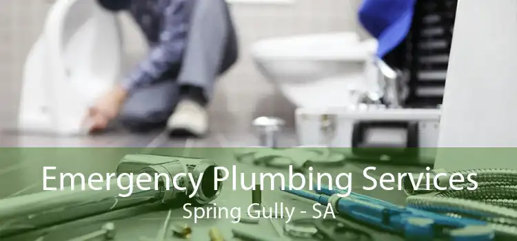 Emergency Plumbing Services Spring Gully - SA