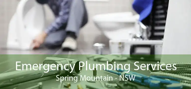 Emergency Plumbing Services Spring Mountain - NSW