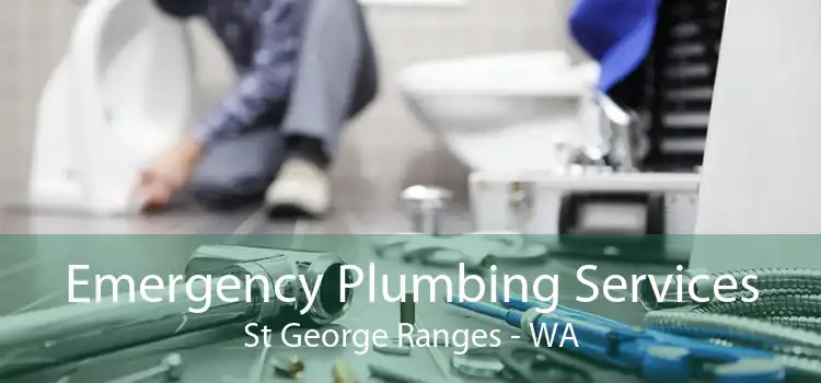 Emergency Plumbing Services St George Ranges - WA