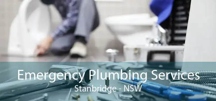Emergency Plumbing Services Stanbridge - NSW