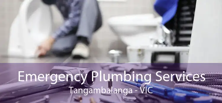 Emergency Plumbing Services Tangambalanga - VIC