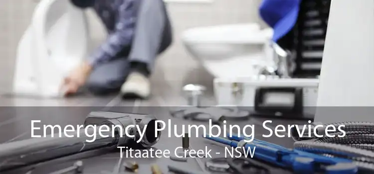 Emergency Plumbing Services Titaatee Creek - NSW