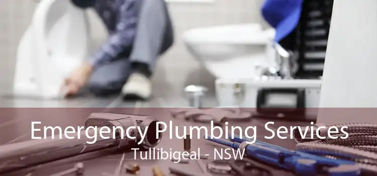 Emergency Plumbing Services Tullibigeal - NSW