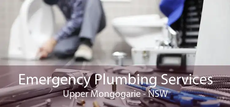 Emergency Plumbing Services Upper Mongogarie - NSW