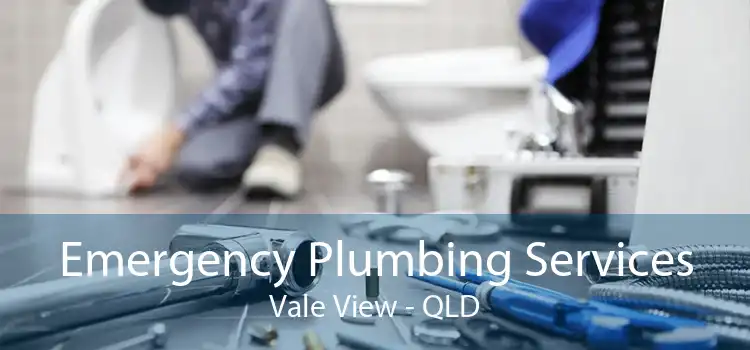 Emergency Plumbing Services Vale View - QLD