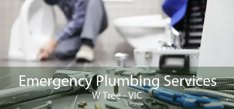 Emergency Plumbing Services W Tree - VIC