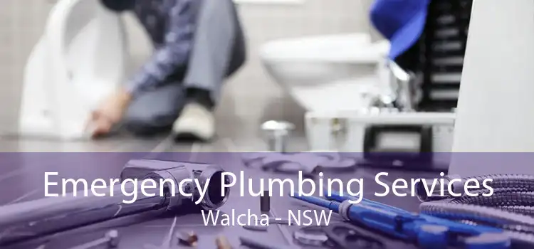 Emergency Plumbing Services Walcha - NSW