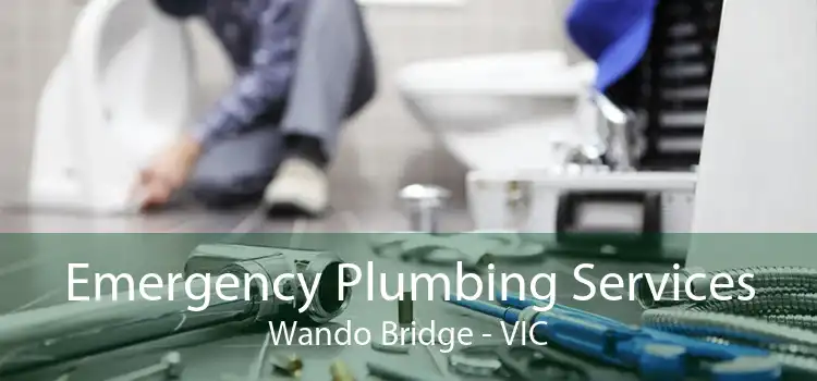 Emergency Plumbing Services Wando Bridge - VIC